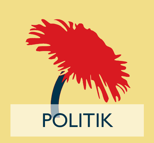 Pix-Politik